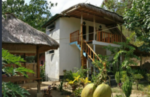 Crisycool are guling resized