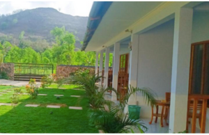 elisa homestay air ruling resized