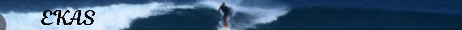 ekas header