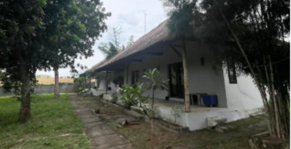 Ekas Boardriders Surf