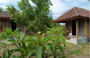 Melody Surf Lodges Ekas