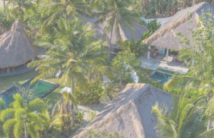 Tiki Boutique Hotel resized